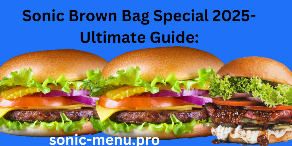 Sonic Brown Bag