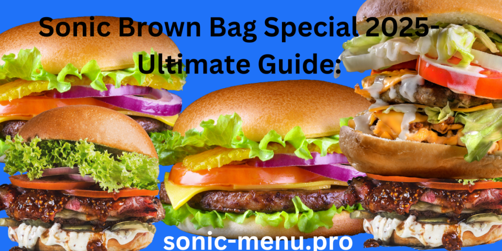 Sonic Brown Bag