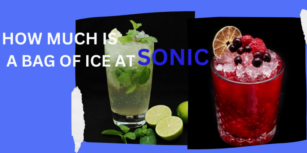 sonic ice bag