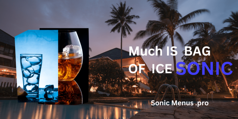 sonic ice bag